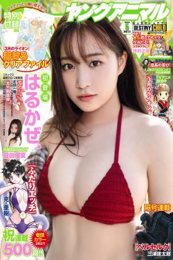 孙怡演过的电视剧