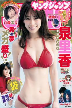 杨烁主演的电视剧全部