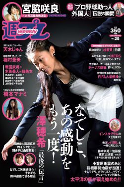 pr九尾狐狸